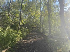 hidden-hills-path-three